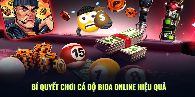 Bí quyết chơi cá cược bida online hiệu quả