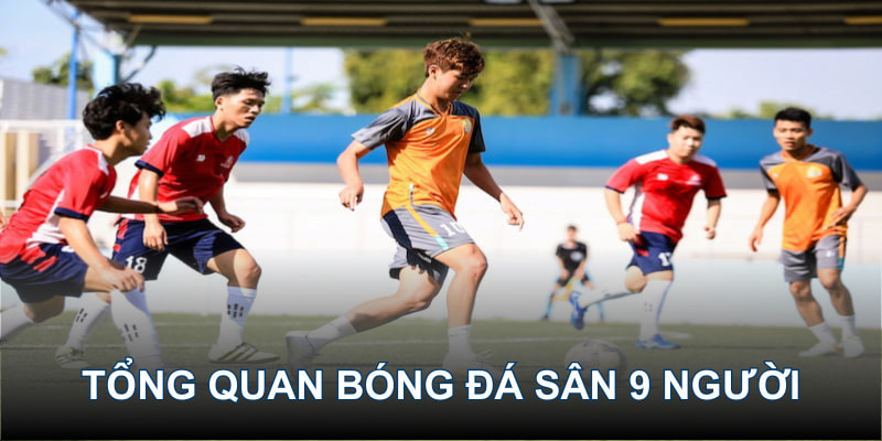 Thông tin sơ bộ về bóng đá sân 9 người tại sân chơi 79king